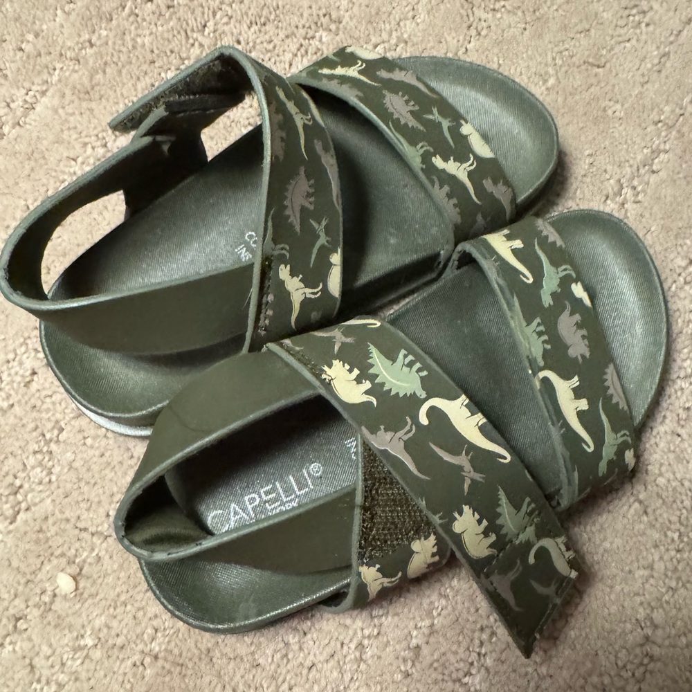 Barely used dinosaur sandals